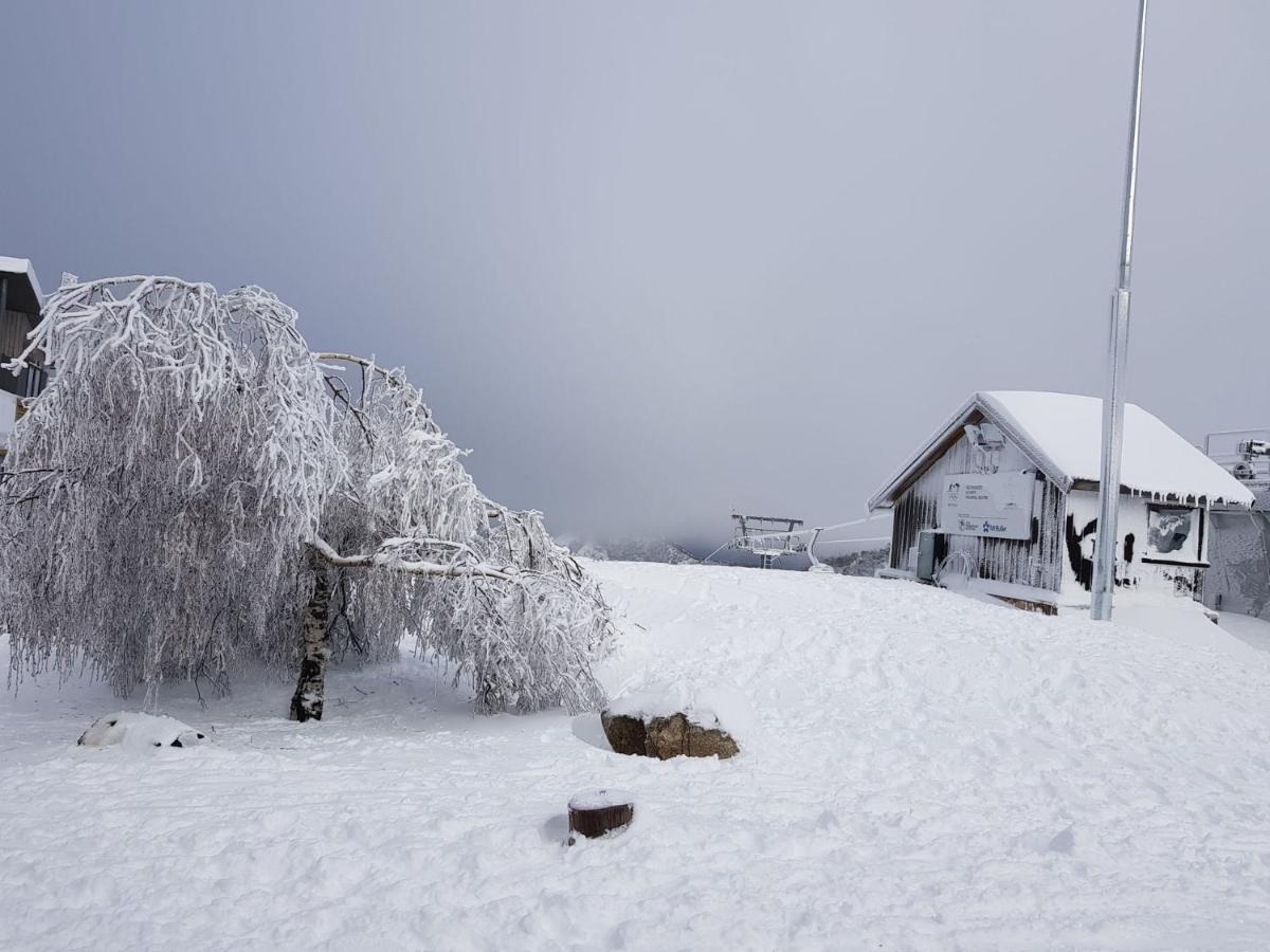 Apartament Peak 105 Mount Buller Zewnętrze zdjęcie